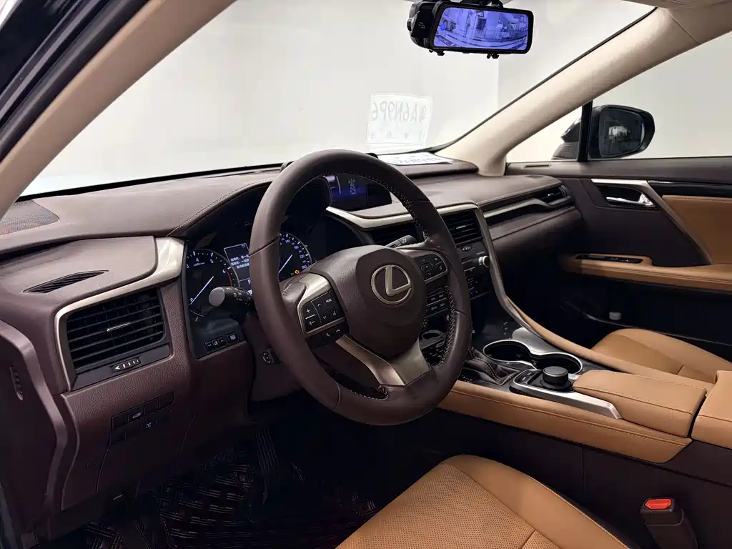 Lexus RX 300 4WD Elegant Edition China VI, фото 9