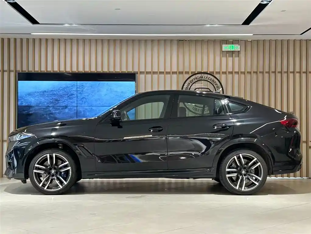 BMW X6 M — миниатюра 2