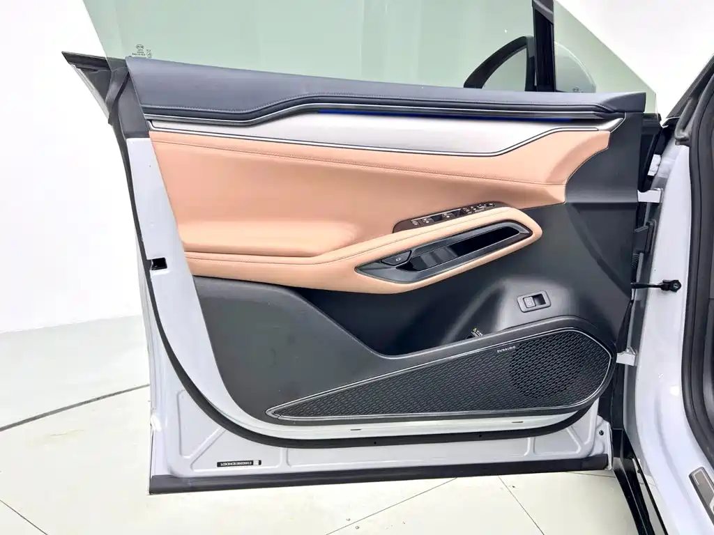 BYD L EV — миниатюра 10