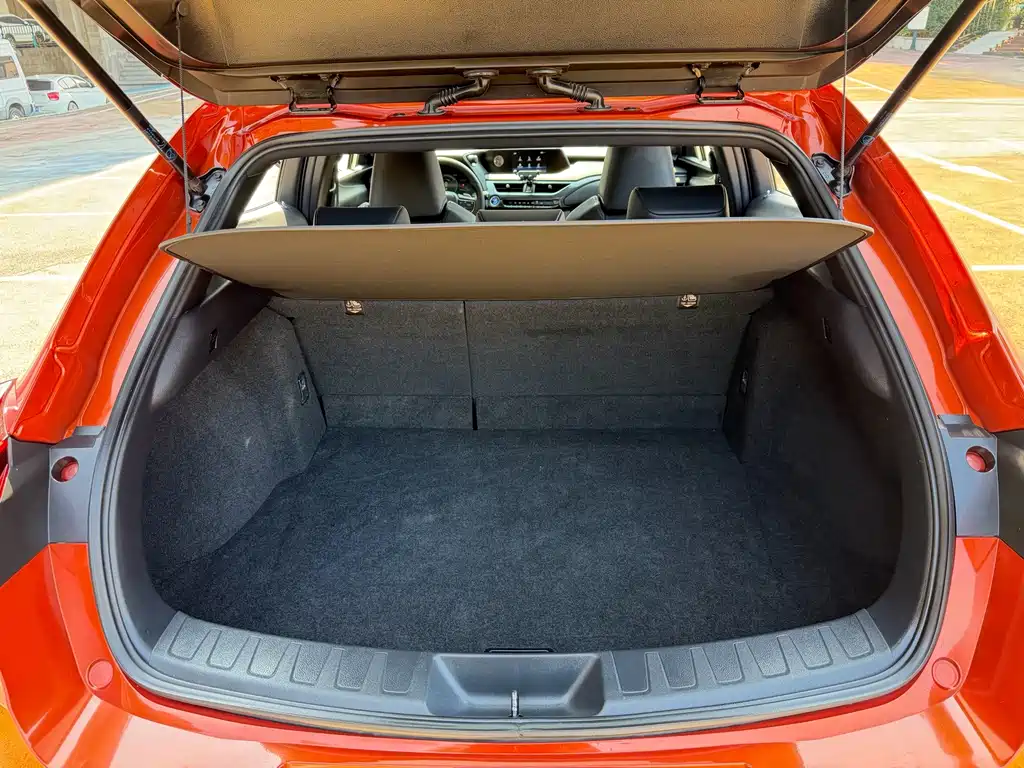 Lexus UX New Energy — миниатюра 15