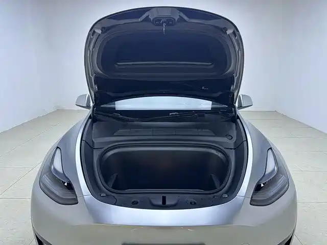 Tesla Model Y — миниатюра 17