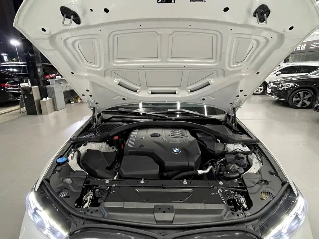 BMW 3 Series — миниатюра 31