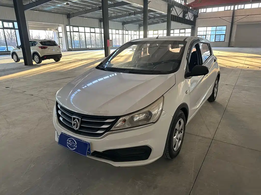 BAOJUN 310