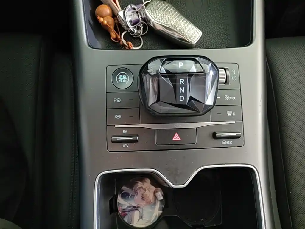 BYD Pro New Energy - фото 14