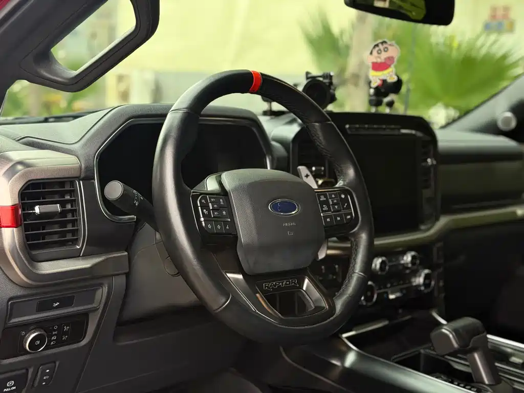 Ford F-150 Raptor — миниатюра 21