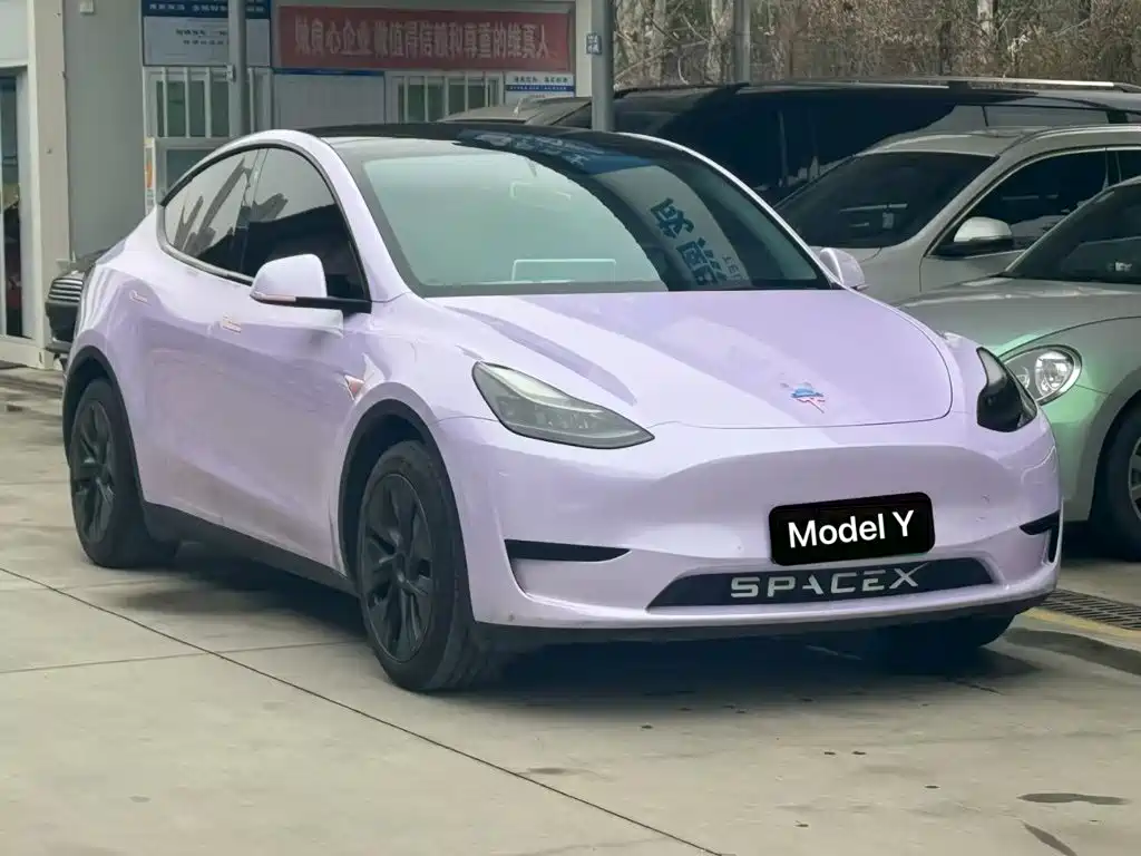 Tesla Model Y — миниатюра 3