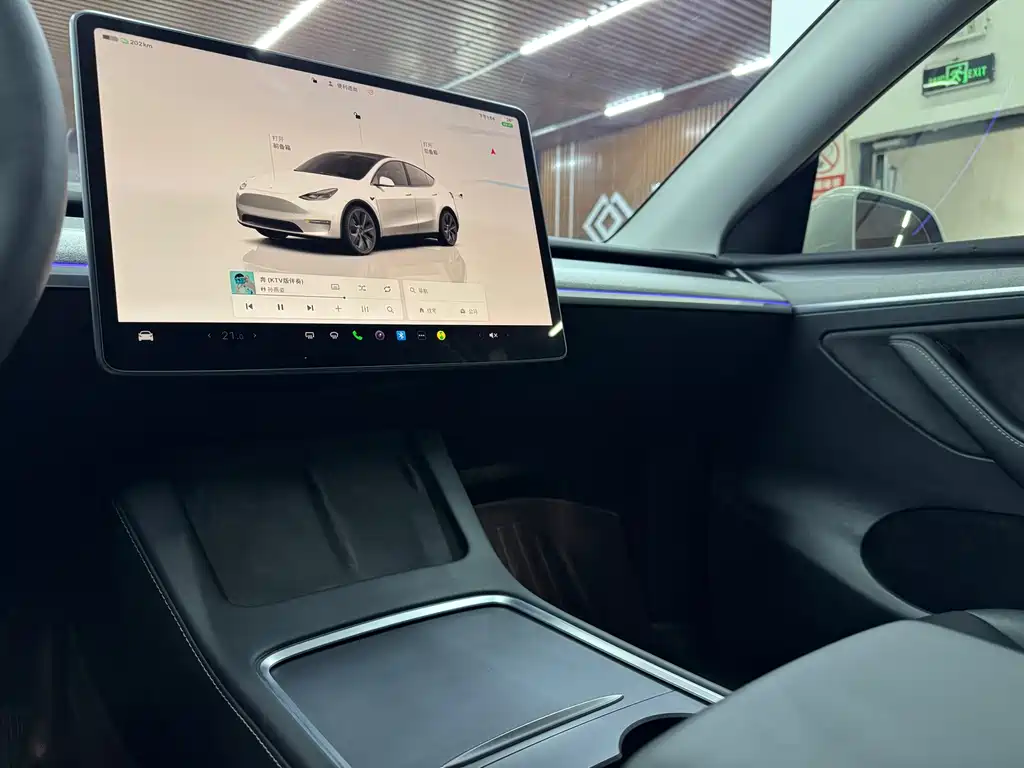 Tesla Model Y — миниатюра 8