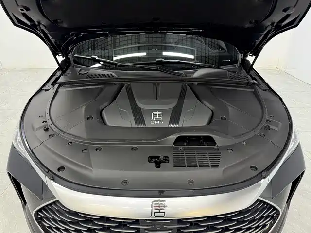 BYD Tang New Energy — миниатюра 10