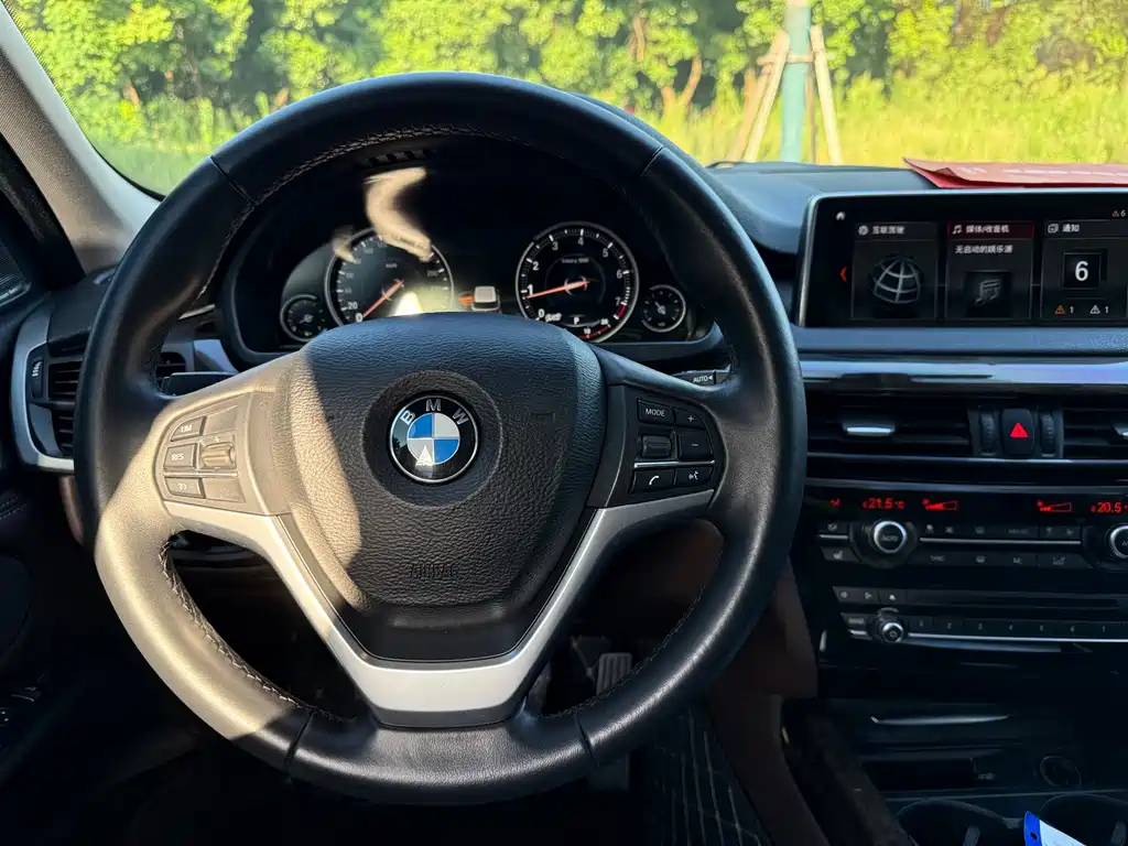 BMW X5 (Import) — миниатюра 13