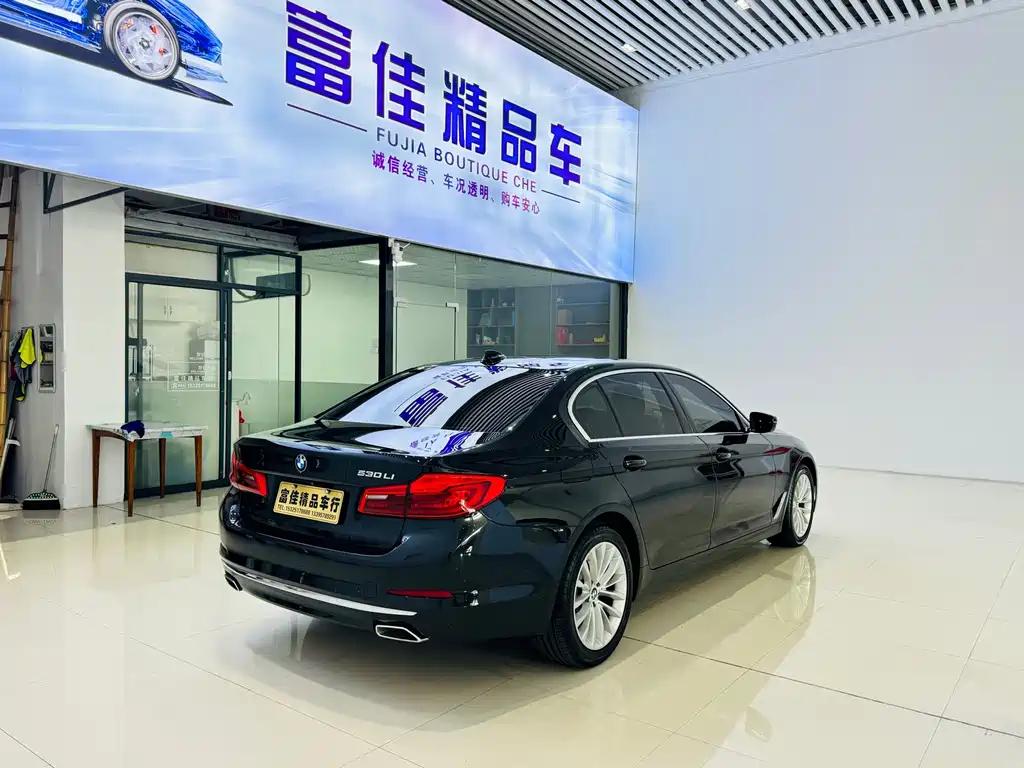 BMW 5 Series — миниатюра 5