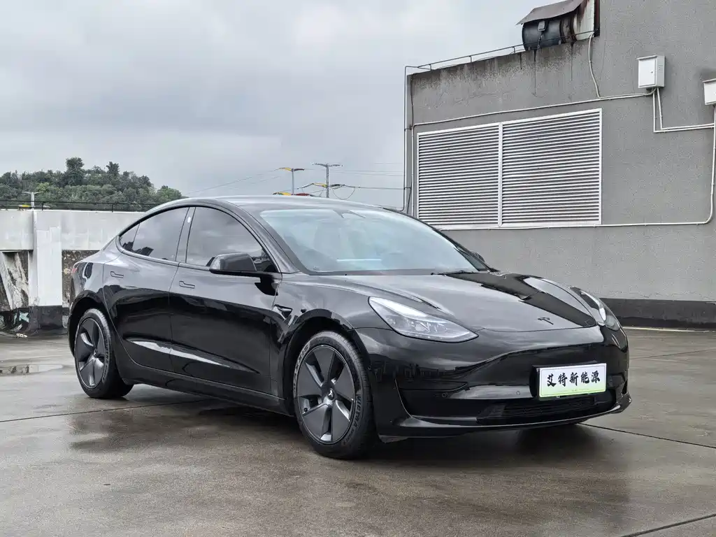 Tesla Model 3 — миниатюра 3