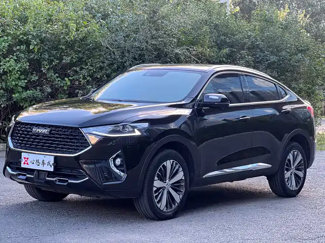 HAVAL  F7X 2019