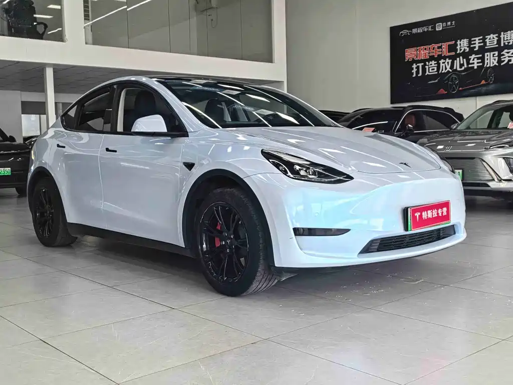 Tesla Model Y — миниатюра 3