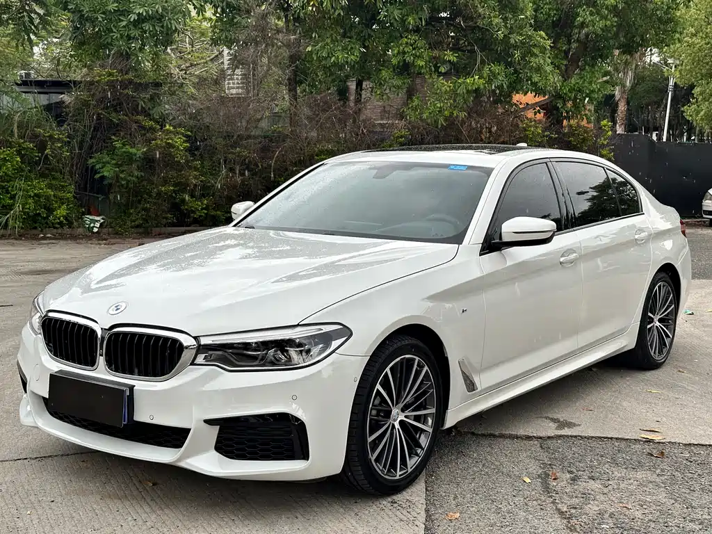 BMW 5 Series 2020 530Li Premium Type M Sport Package