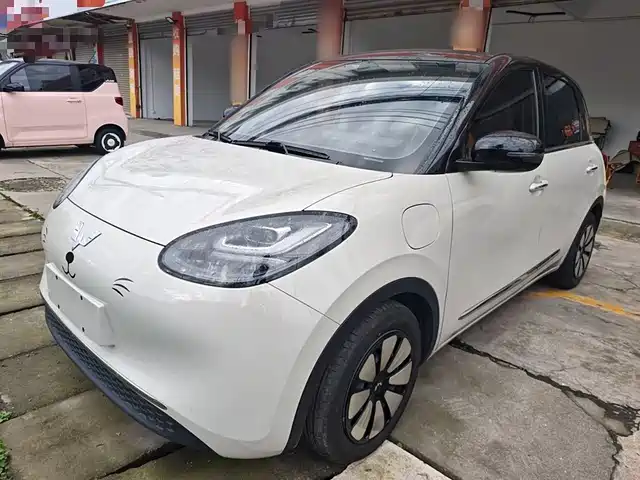 WULING AUTOMOBILE WULING BINGGUO 2024
