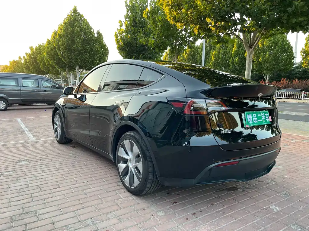 Tesla Model Y — миниатюра 6
