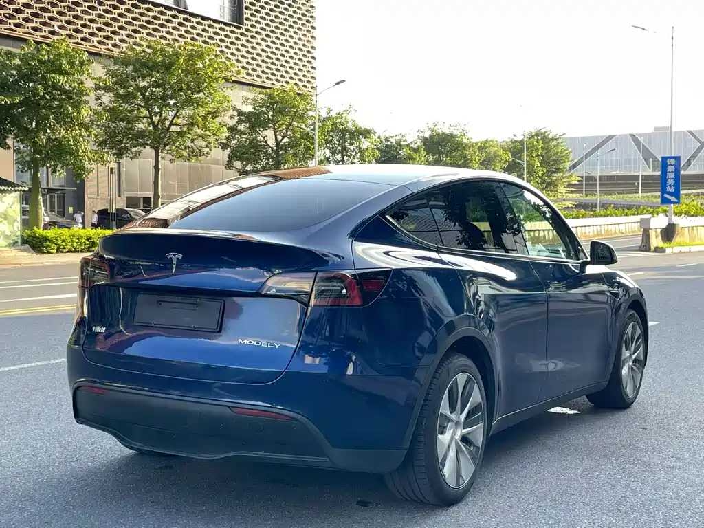 Tesla Model Y — миниатюра 7