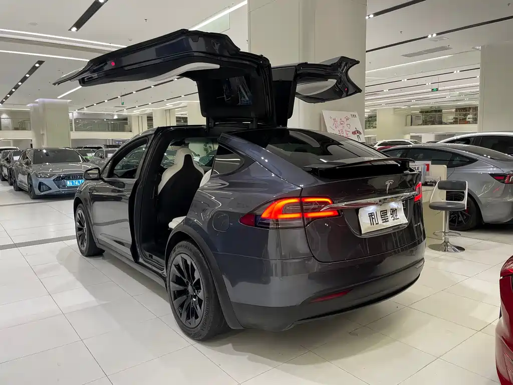 Tesla Model X — миниатюра 4