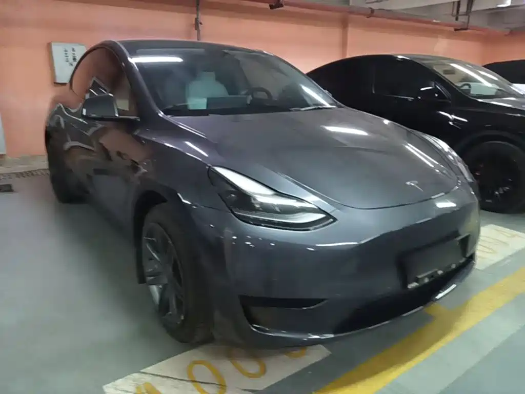 Tesla Model Y — миниатюра 4