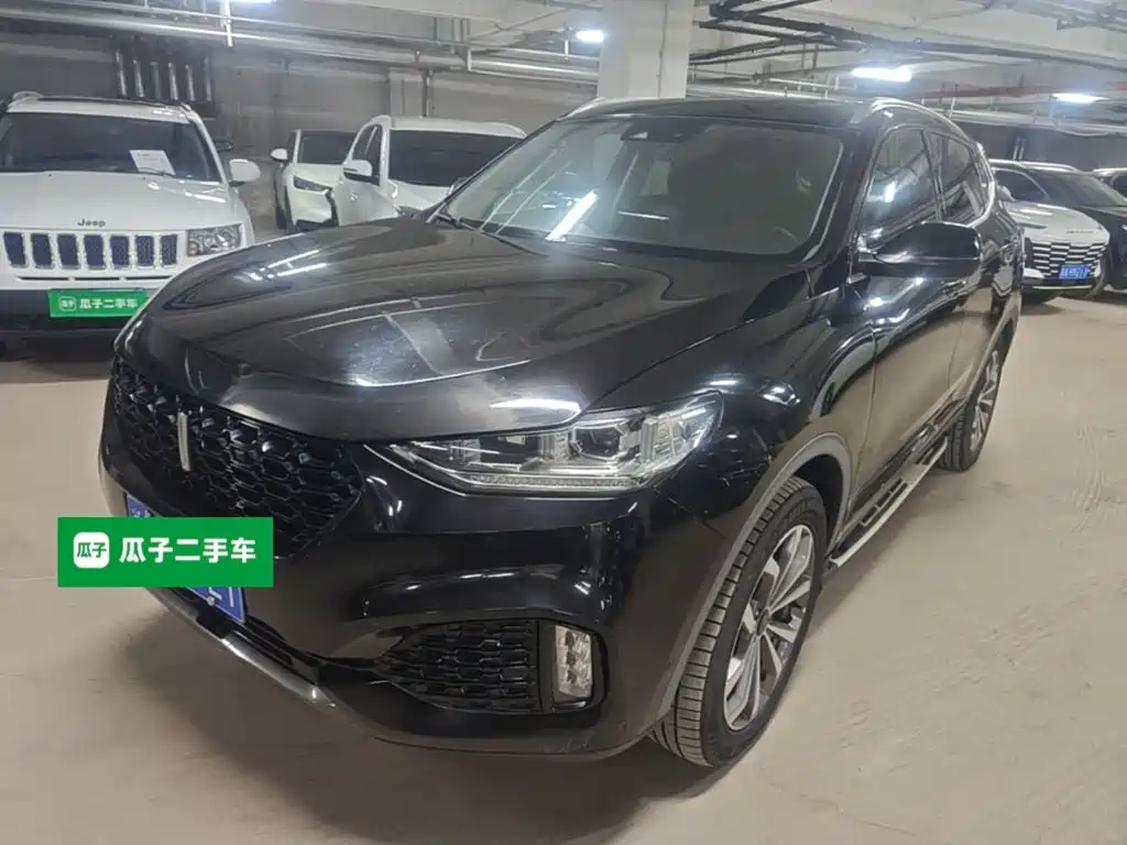 Wey Wey VV6