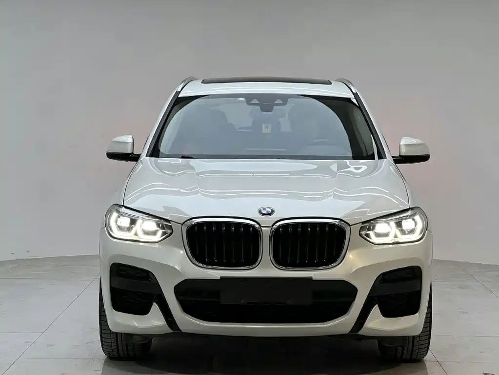 BMW X3 — миниатюра 2