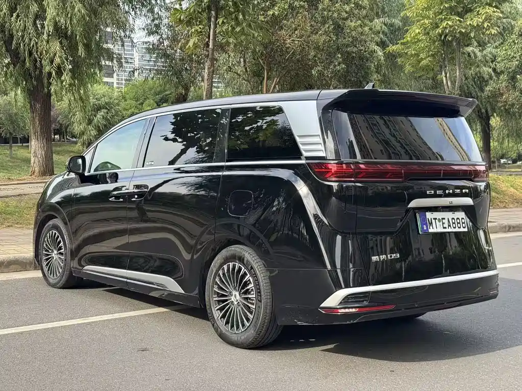 Denza Denza D9 — миниатюра 9