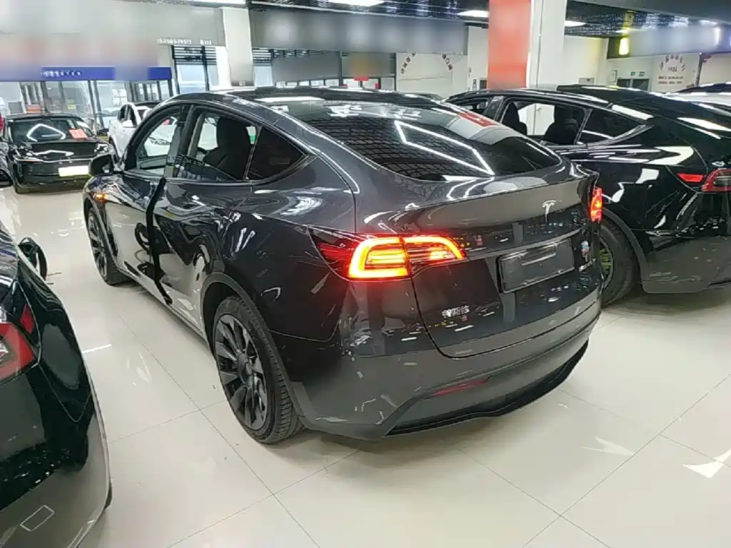 Tesla Model Y — миниатюра 5