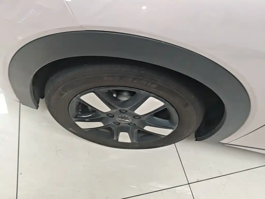 BYD Dolphin — миниатюра 23