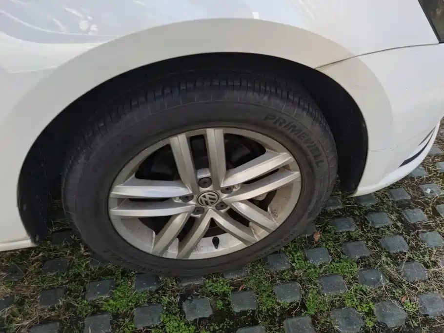 Volkswagen Gran Lavida — миниатюра 6
