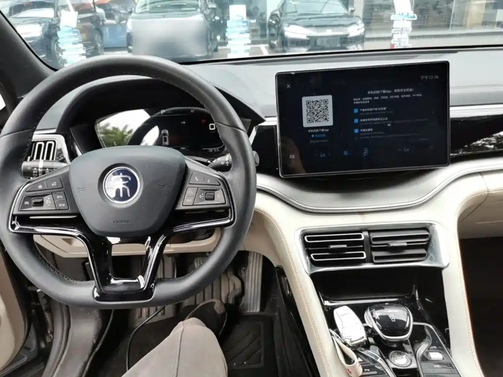 BYD PLUS New Energy — миниатюра 10