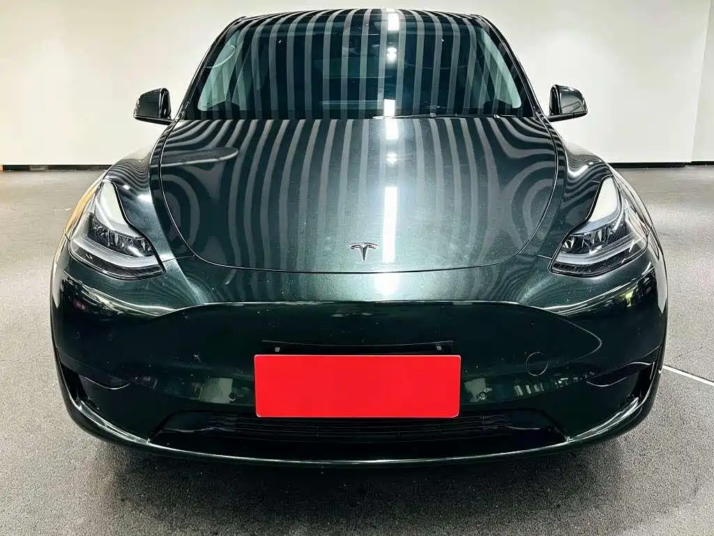 Tesla Model Y — миниатюра 2