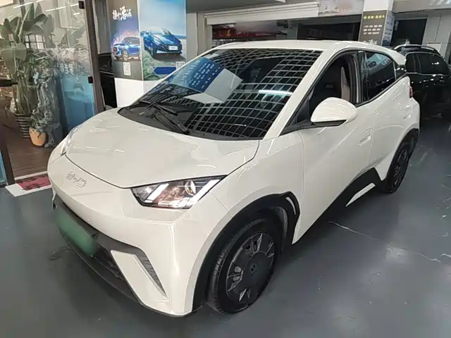 2025 BYD Seagull