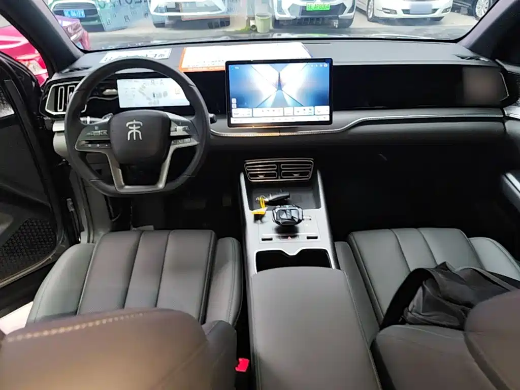 BYD Pro New Energy — миниатюра 10