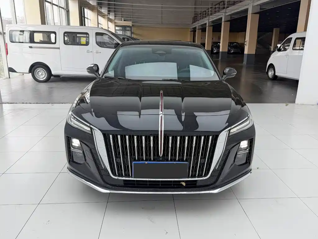 Hongqi Hongqi H5 — миниатюра 2