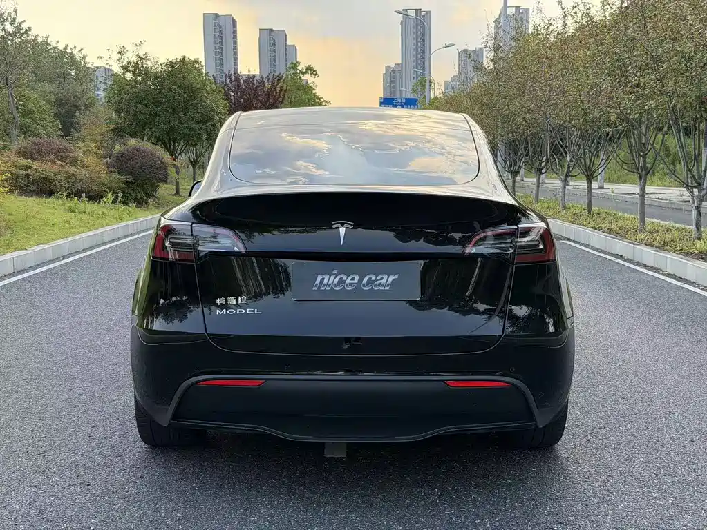 Tesla Model Y — миниатюра 5