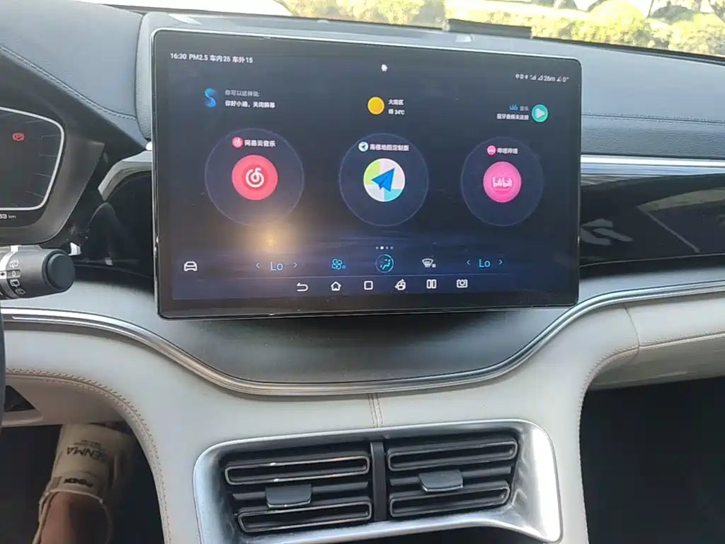 BYD PLUS New Energy — миниатюра 13