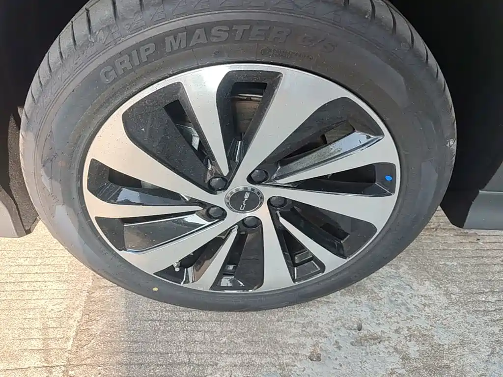 BYD PLUS New Energy — миниатюра 23