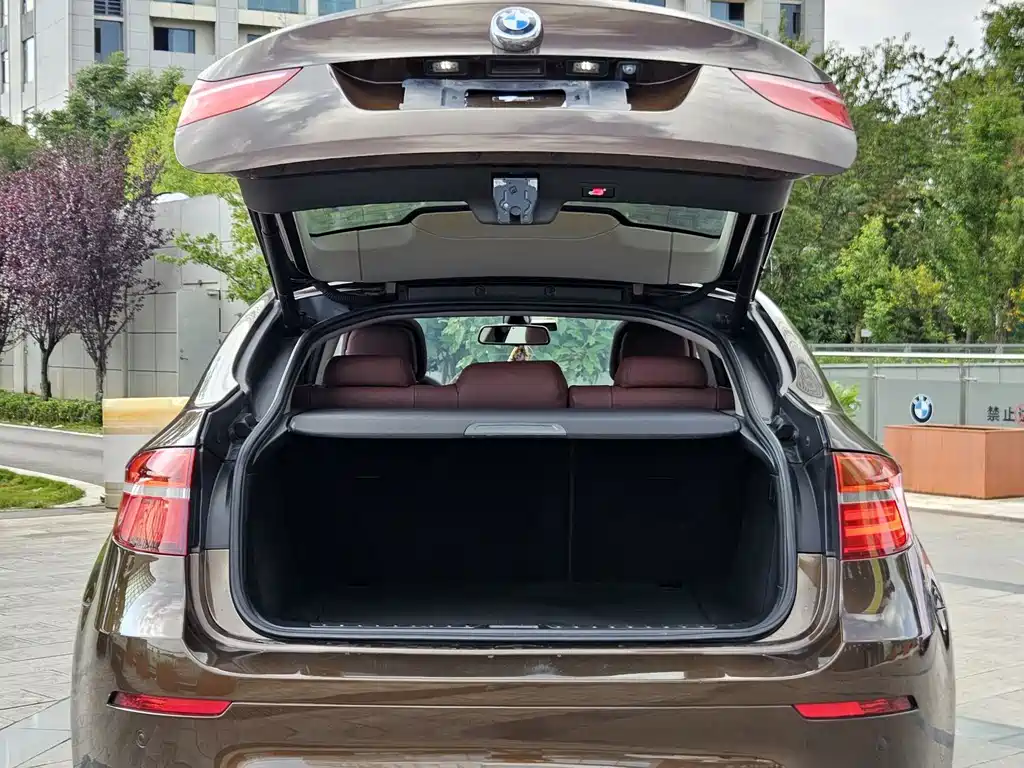 BMW X6 — миниатюра 19