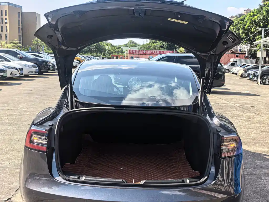 Tesla Model 3 — миниатюра 15