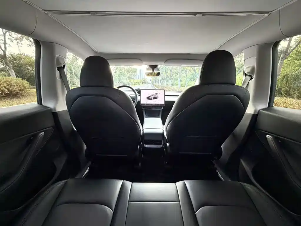 Tesla Model Y — миниатюра 12