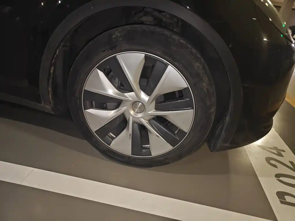 Tesla Model Y — миниатюра 24