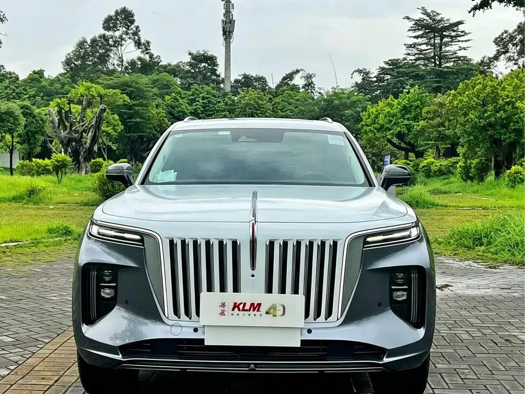 Hongqi Hongqi E-HS9 — миниатюра 2