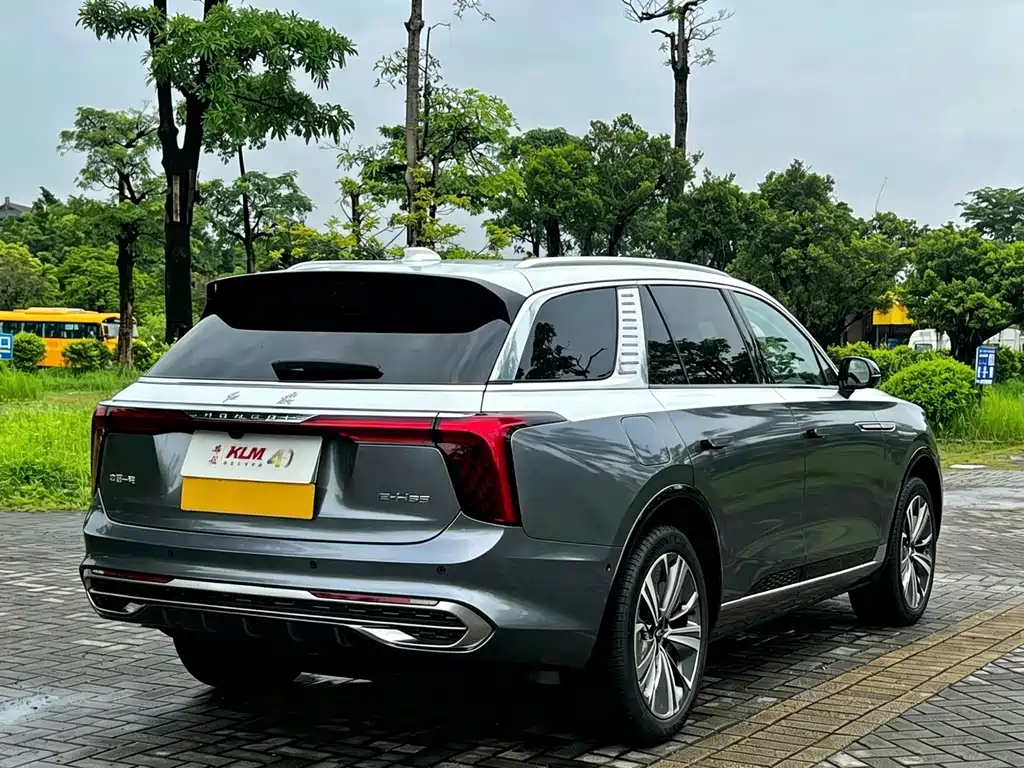 Hongqi Hongqi E-HS9 — миниатюра 4