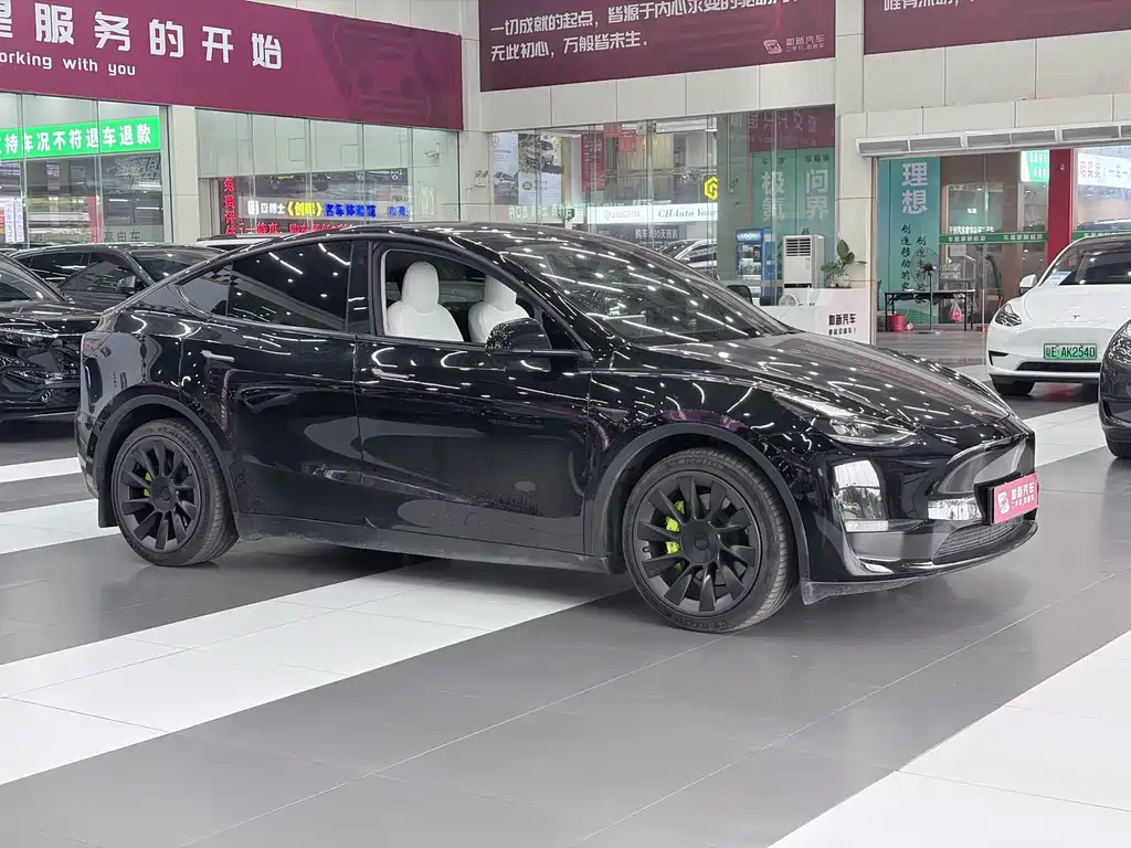 Tesla Model Y — миниатюра 2