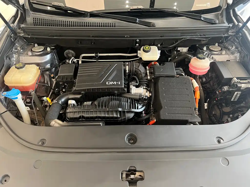 BYD Pro New Energy — миниатюра 15