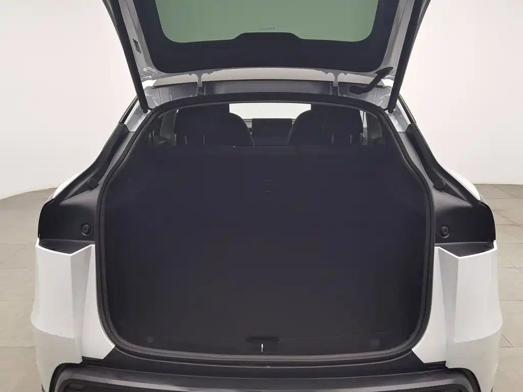 Tesla Model Y — миниатюра 16