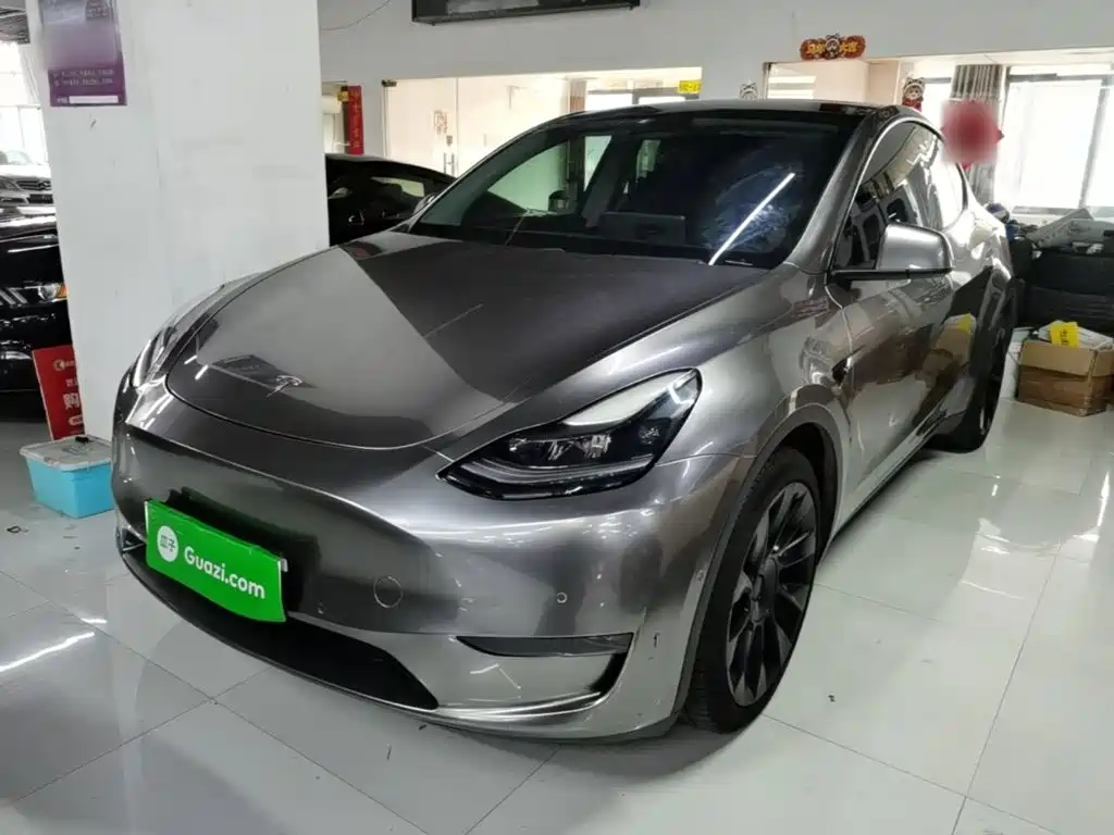 Tesla Model Y — миниатюра 2