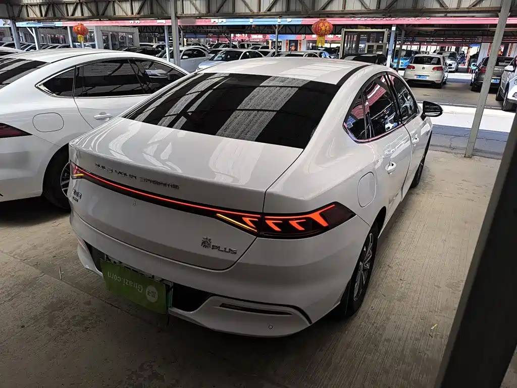 BYD Qin Plus PLUS 2024 DM-i 55KM Lead