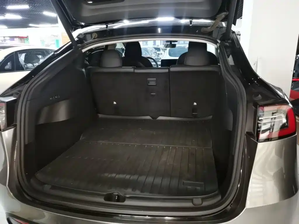 Tesla Model Y — миниатюра 19