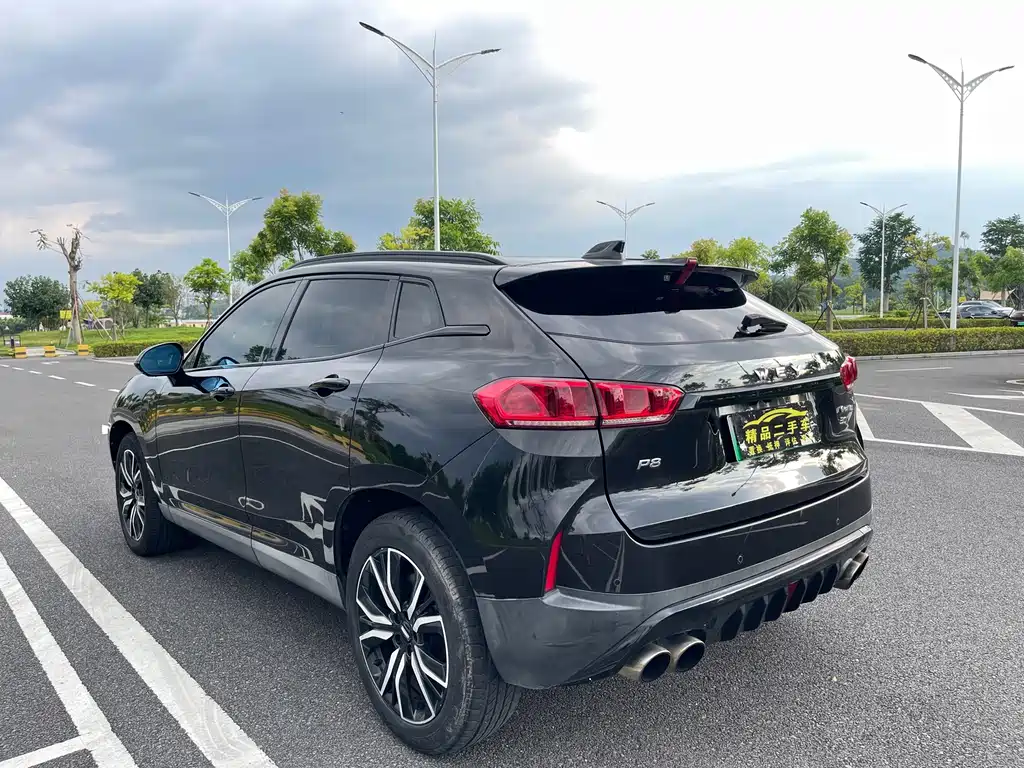 Wey Wey P8 — миниатюра 9